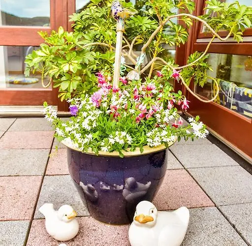 Haus Eyers Gæstehus